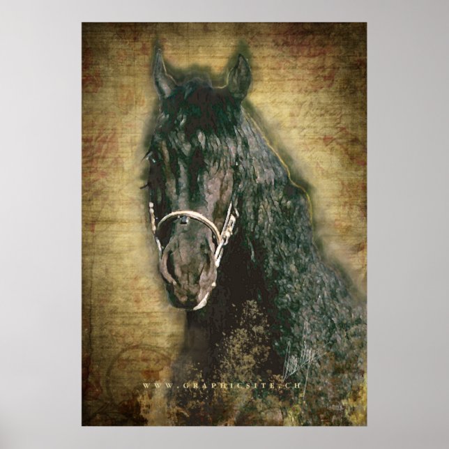 Friesian DIAMOND - Poster (Vorne)