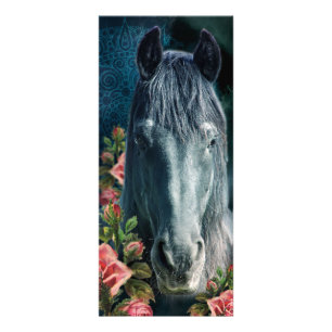 Friesian DIAMOND ~ Rackcard Werbekarte