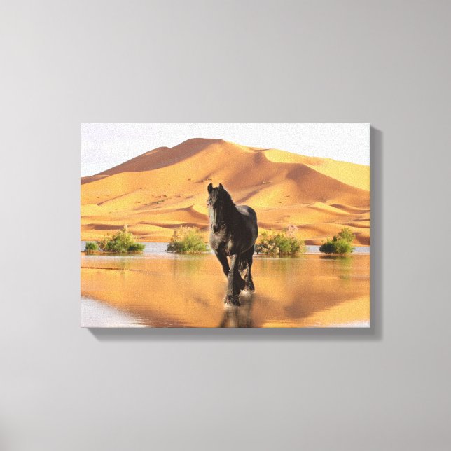 Friesian DIAMOND V - Wrapped Canvas Leinwanddruck (Vorderseite)