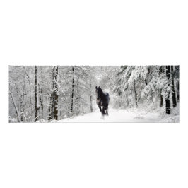 Friesian DIAMOND VII - Foto Print