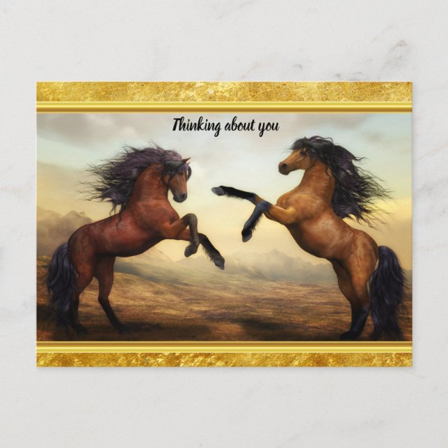 Friesian Draft Horses in the rocky mountain tal Postkarte (Vorderseite)