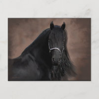 Friesian Flair