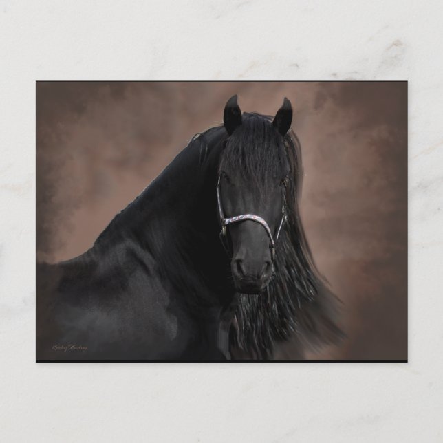 Friesian Flair Postkarte (Vorderseite)