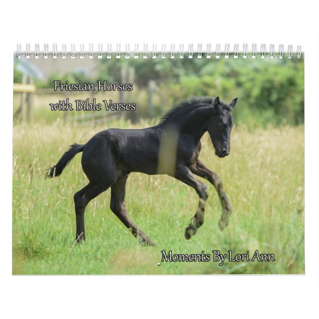 Friesian Horse Calendar with Bible Verses Kalender (Titelbild)