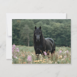 Friesian Horse in a Wildblume Field Postkarte