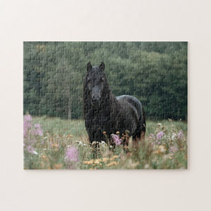 Friesian Horse in a Wildblume Field Puzzle