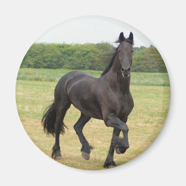 Friesian Horse Magnet (Vorne)