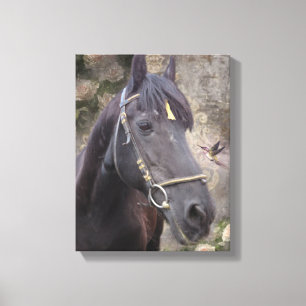 Friesian Horse Portrait - Wrapped Canvas Leinwanddruck