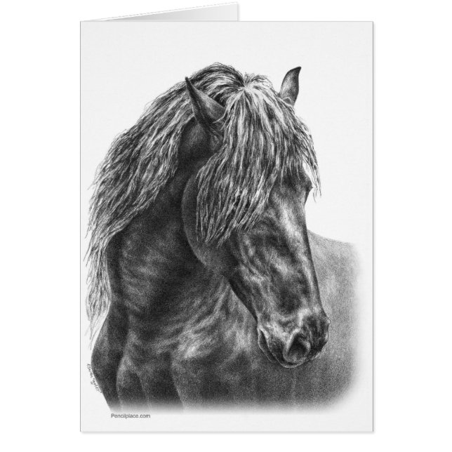 Friesian Horse Portrait Zeichnend von Kelli Swan (Vorne)