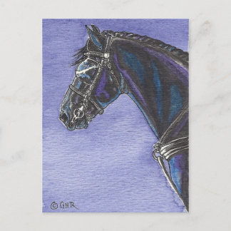 Friesian Horse Postcard Postkarte