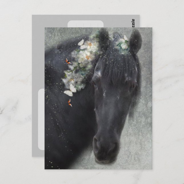Friesian Horse - Postcard Postkarte (Vorne/Hinten)