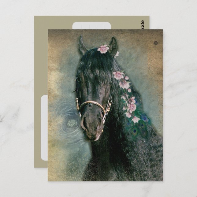 Friesian Horse - Postcard Postkarte (Vorne/Hinten)