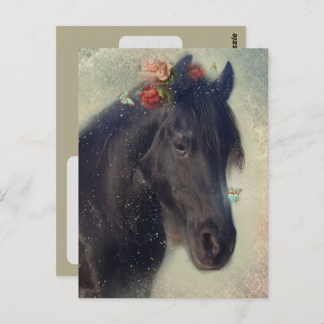 Friesian Horse - Postcard Postkarte (Vorne/Hinten)