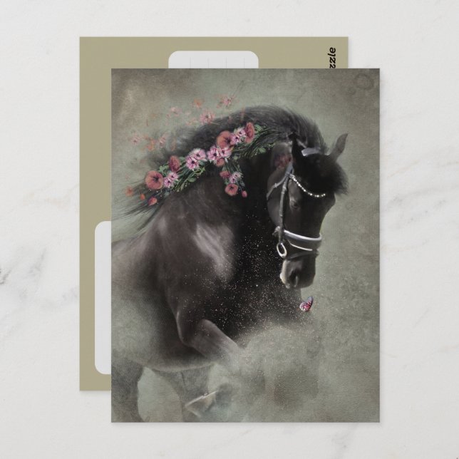 Friesian Horse - Postcard Postkarte (Vorne/Hinten)