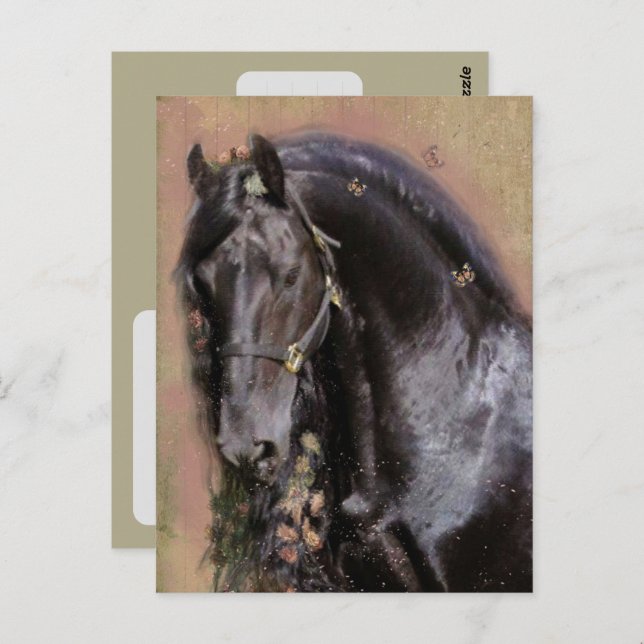Friesian Horse - Postcard Postkarte (Vorne/Hinten)