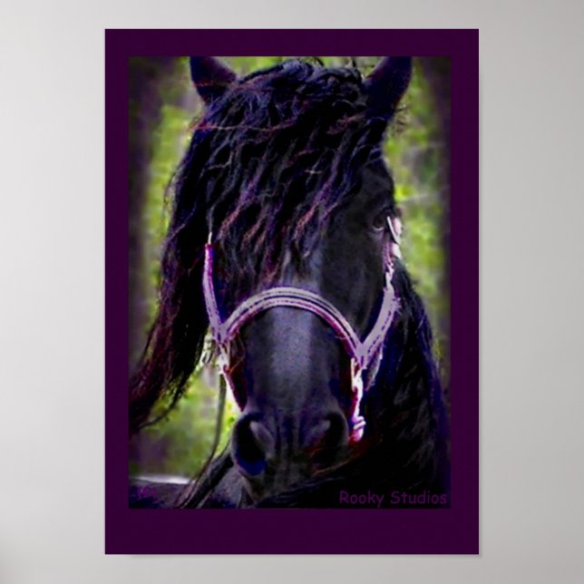 Friesian Horse Poster (Vorne)