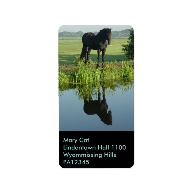 Friesian Horse Reflection in water Adressaufkleber (Vorne)