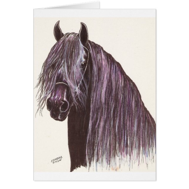 Friesian Horse Study (Vorne)