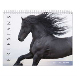 Friesian Horses Calendar Kalender
