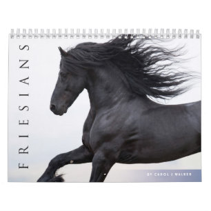Friesian Horses Calendar Kalender