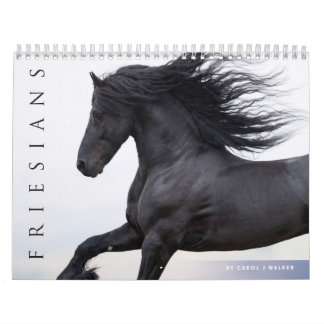 Friesian Horses Calendar Kalender