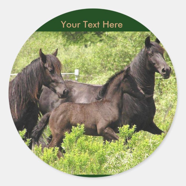 Friesian Mares Stickers #1 (Vorderseite)
