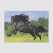 Friesian Pferd