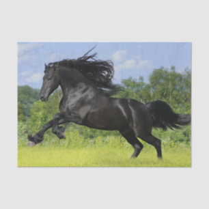 Friesian Pferd Seidenpapier