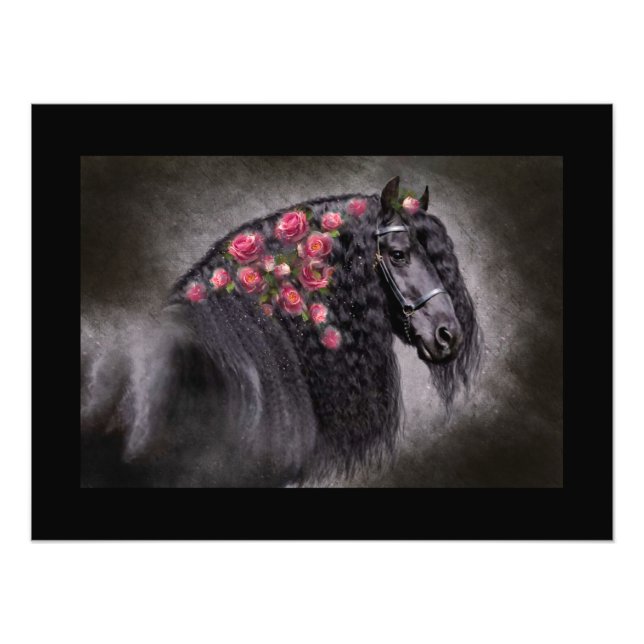 Friesian Portrait - Poster (Vorne)