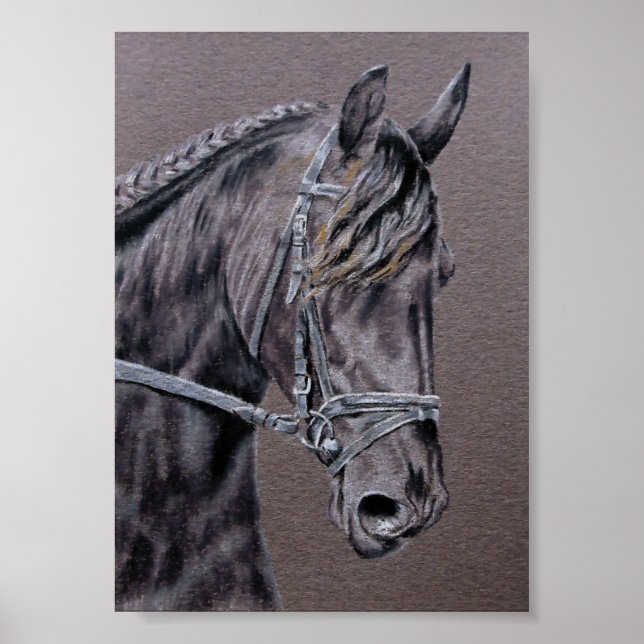 Friesian Poster (Vorne)