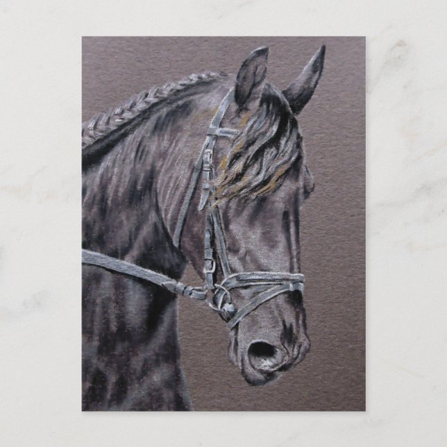 Friesian Postkarte (Vorderseite)