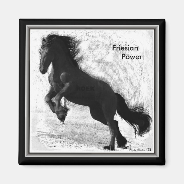 Friesian Power Magnet 2 (Vorne)
