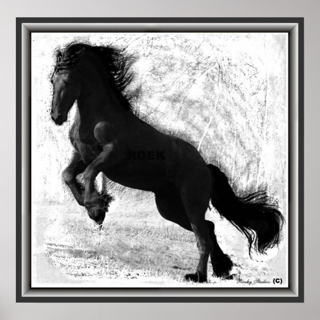 Friesian Power Print Poster (Vorne)