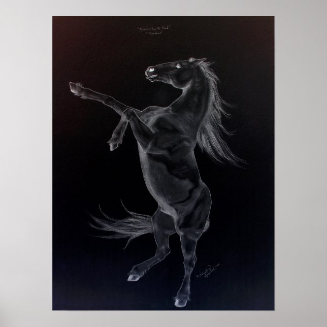 Friesian Rearing Black & White Poster (Vorne)