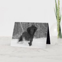 Friesian Runs in the Snow Horse Greeting Card Karte
