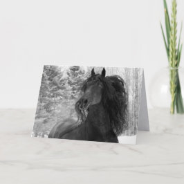Friesian Runs in the Snow II Horse Greeting Card Karte