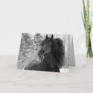 Friesian Runs in the Snow II Horse Greeting Card Karte