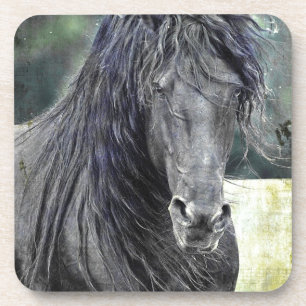 Friesian Stallion Getränkeuntersetzer