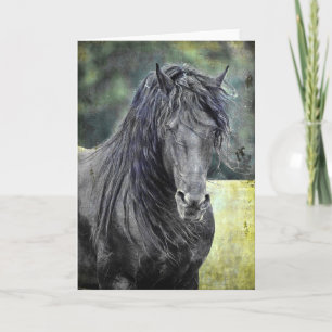Friesian Stallion Karte