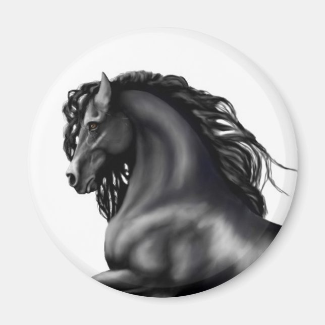 Friesian Stallion Magnet (Vorne)