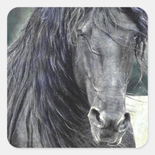 Friesian Stallion Quadratischer Aufkleber