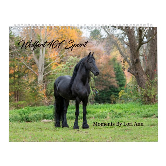 Friesian Stallion Wolfert 467 Sport Kalender (Titelbild)