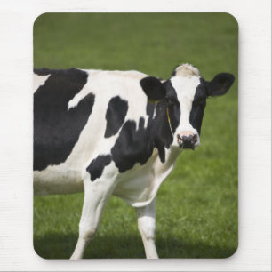 Friesische Kuh Mousepad