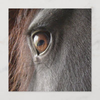 Friesische Pferdeaugen-Einladung