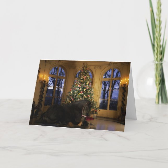 Friesische Stuten-Weihnachtskarte Feiertagskarte (Vorderseite)