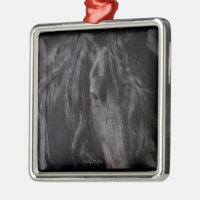 Friesischer Intimate
