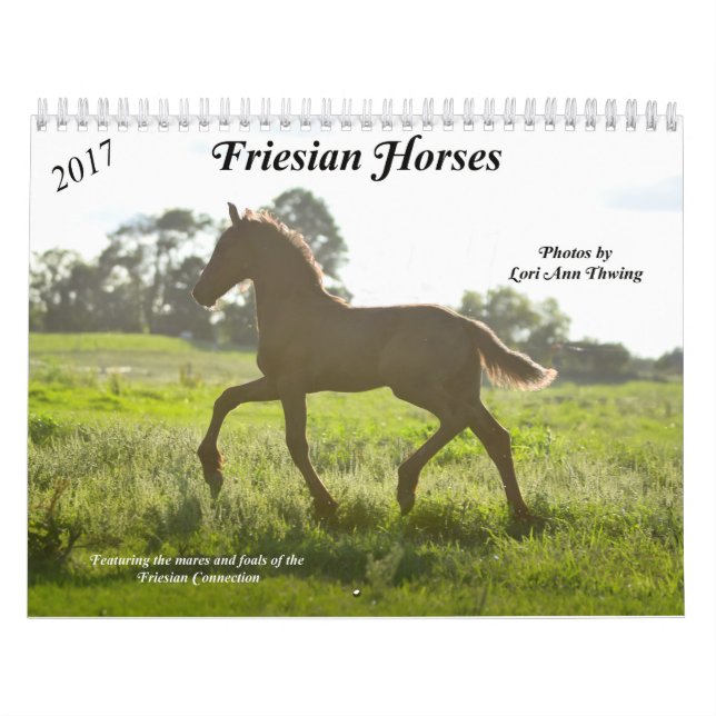 Friesischer Pferdekalender Kalender (Titelbild)