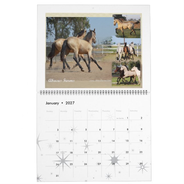 Friesisches Erbenormes Foto Kalender (Jan 2027)