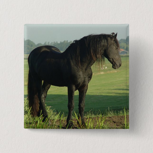 Friesisches Pferd Button (Vorderseite)