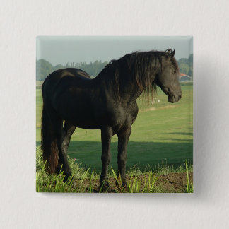 Friesisches Pferd Button